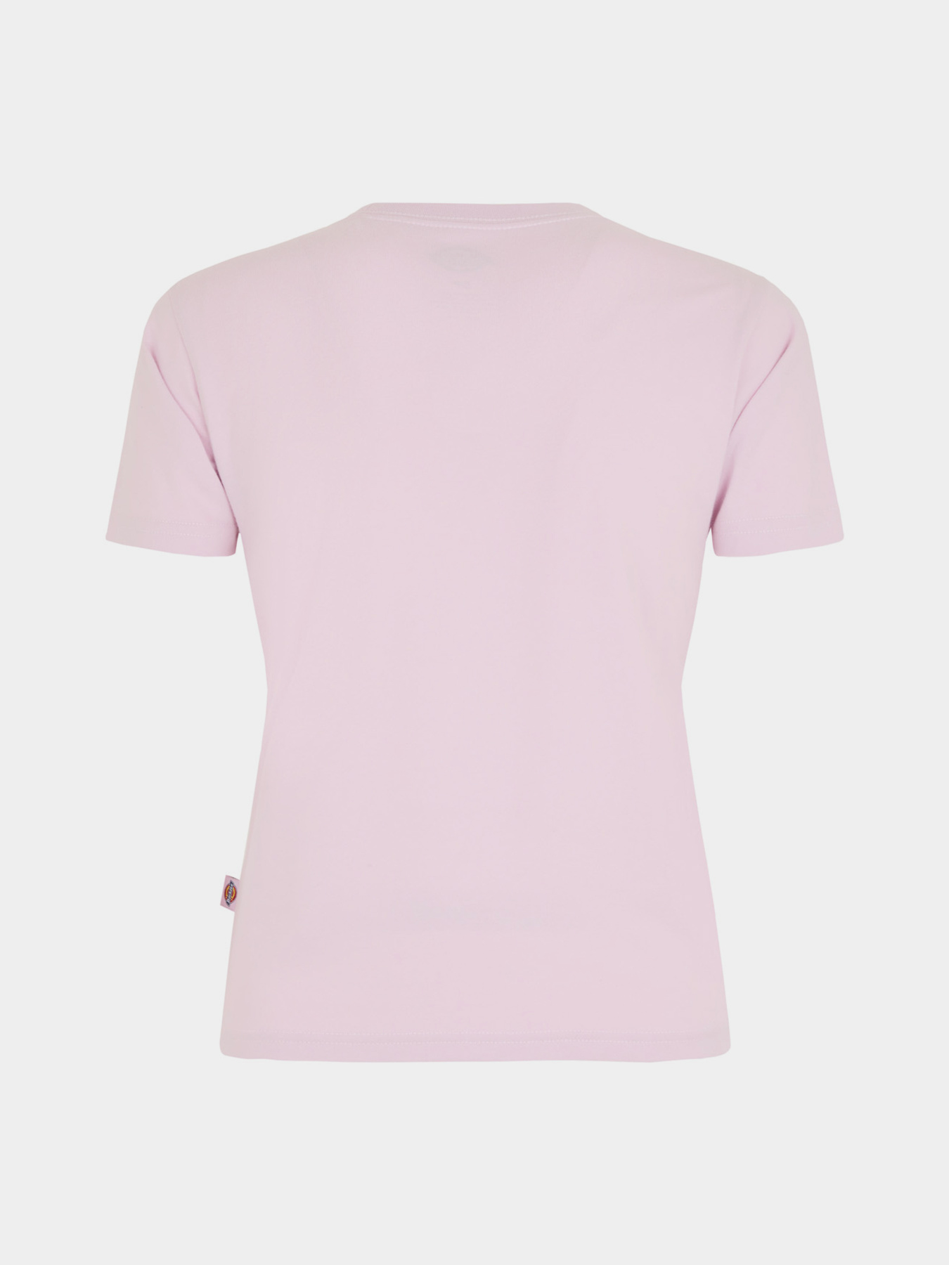 Футболка Dickies Maple Valley Reg модель DK0A4ZAOK731 Футболка Dickies Maple Valley Reg модель DK0A4ZAOK731 Фото