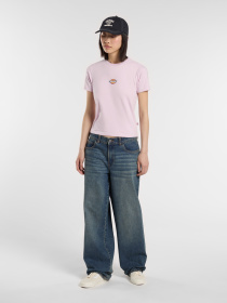 Футболка Dickies Maple Valley Reg модель DK0A4ZAOK731 Футболка Dickies Maple Valley Reg модель DK0A4ZAOK731 Фото