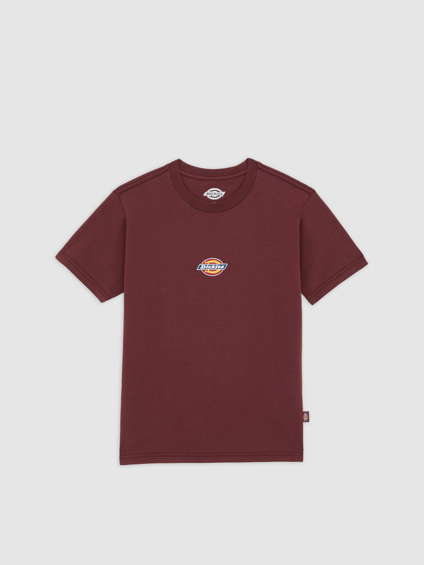 Футболка Dickies Maple Valley Reg модель DK0A4ZAOL161 Футболка Dickies Maple Valley Reg модель DK0A4ZAOL161 Фото