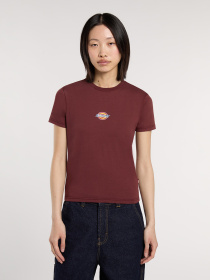 Футболка Dickies Maple Valley Reg модель DK0A4ZAOL161 Футболка Dickies Maple Valley Reg модель DK0A4ZAOL161 Фото