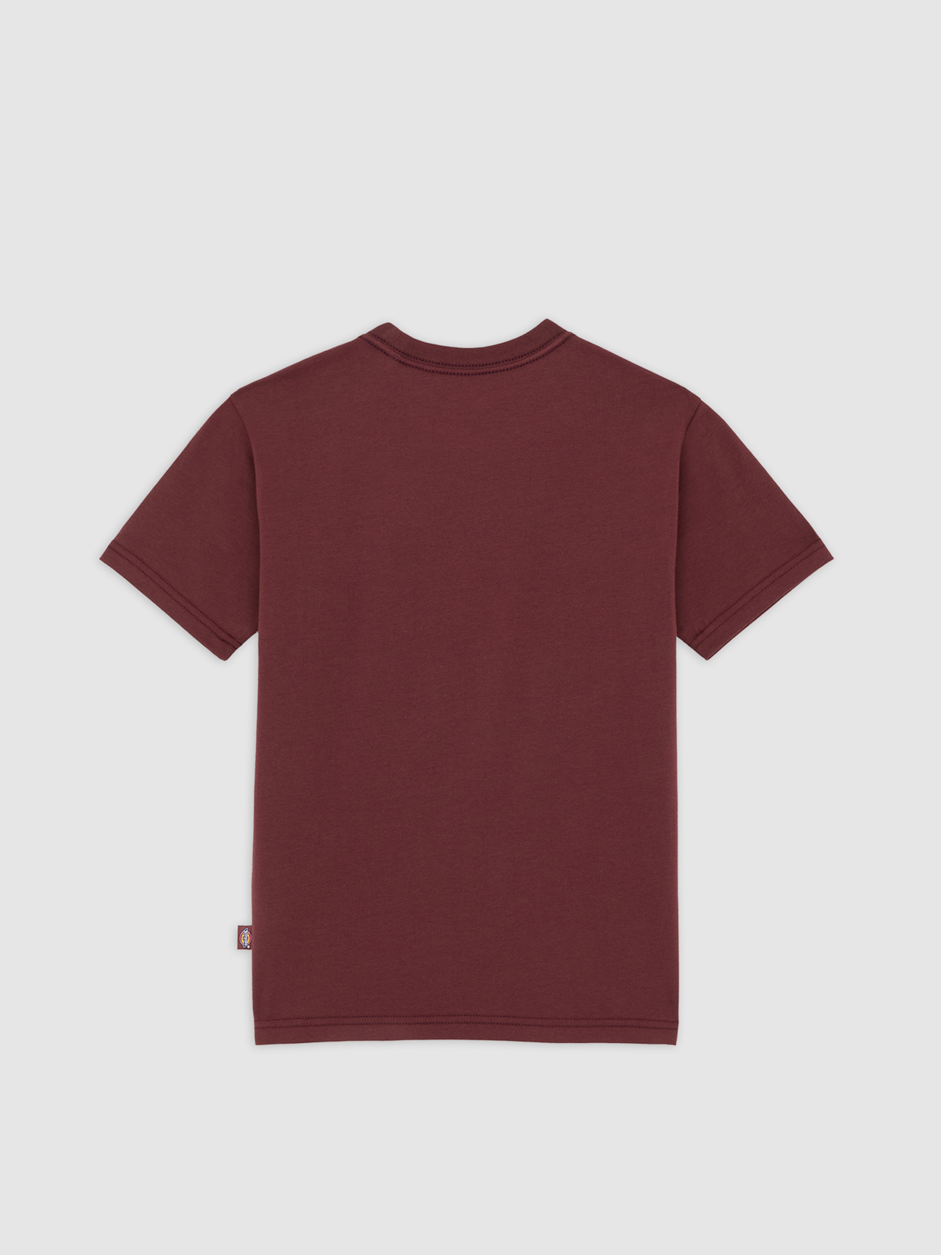 Футболка Dickies Maple Valley Reg модель DK0A4ZAOL161 Футболка Dickies Maple Valley Reg модель DK0A4ZAOL161 Фото