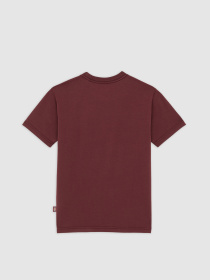 Футболка Dickies Maple Valley Reg модель DK0A4ZAOL161 Футболка Dickies Maple Valley Reg модель DK0A4ZAOL161 Фото