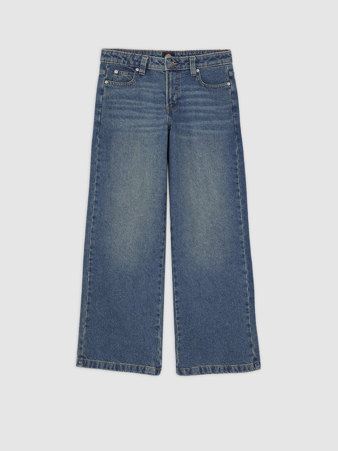 Широкі джинси Dickies Mechanic модель DK0A87NML231 Фото