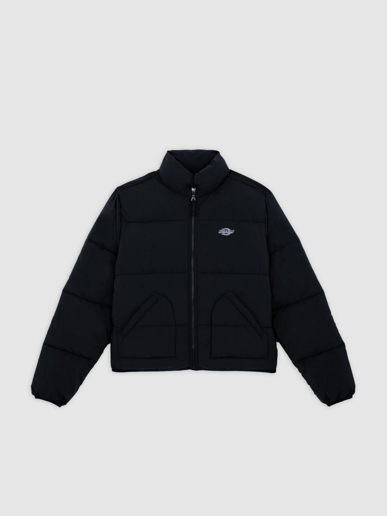 Зимняя куртка Dickies модель DK0A87OJBLK1 Фото