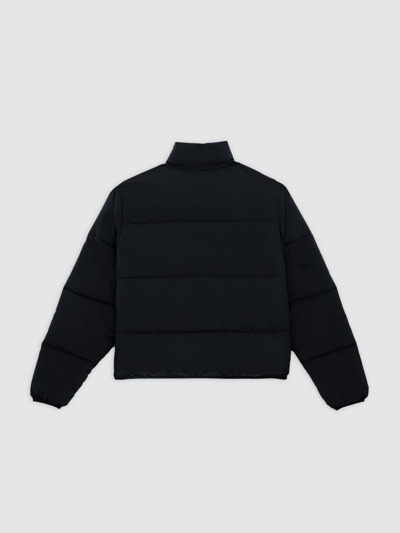 Зимняя куртка Dickies модель DK0A87OJBLK1 Фото