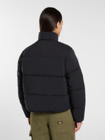 Зимняя куртка Dickies модель DK0A87OJBLK1 Фото