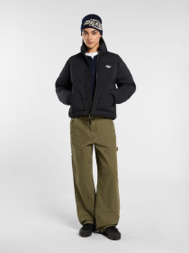 Зимняя куртка Dickies модель DK0A87OJBLK1 Фото