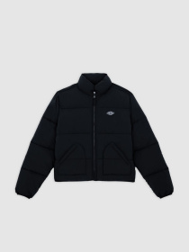 Зимняя куртка Dickies модель DK0A87OJBLK1 Фото