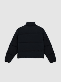 Зимняя куртка Dickies модель DK0A87OJBLK1 Фото