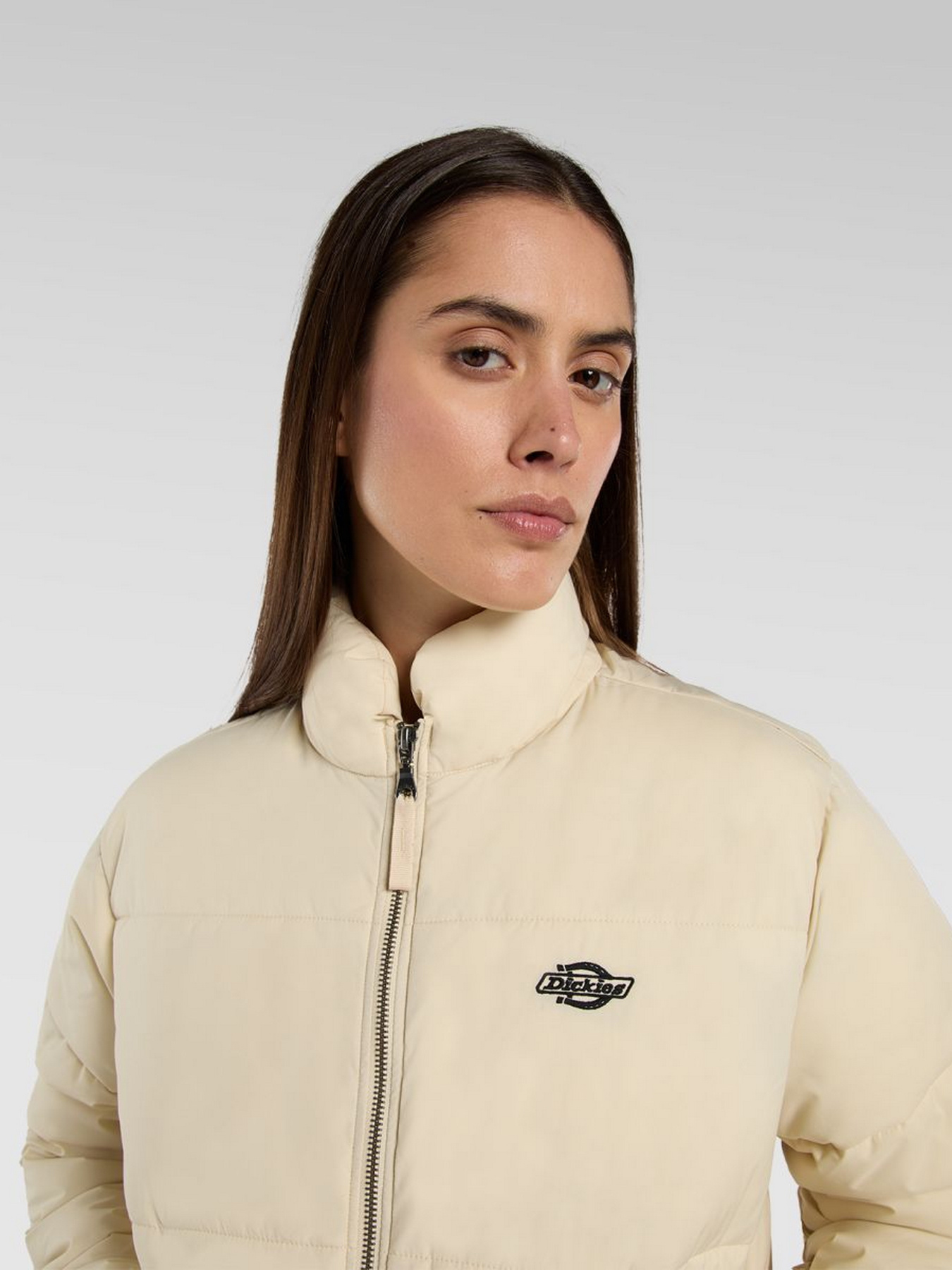 Зимняя куртка Dickies модель DK0A87OJL171 Фото