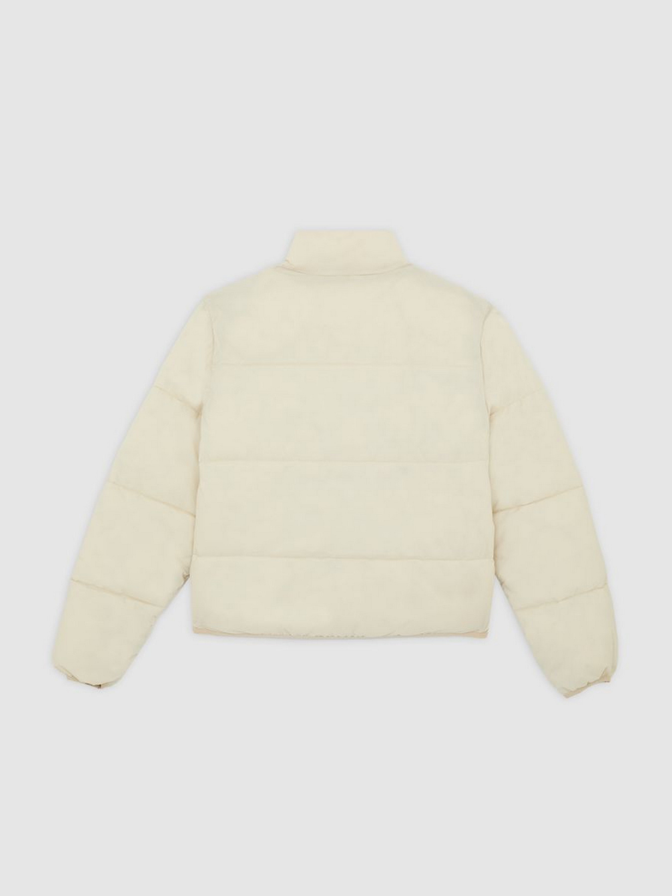 Зимняя куртка Dickies модель DK0A87OJL171 Фото