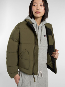 Зимняя куртка Dickies модель DK0A87OJMGR1 Фото