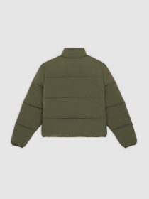 Зимняя куртка Dickies модель DK0A87OJMGR1 Фото