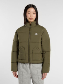 Зимняя куртка Dickies модель DK0A87OJMGR1 Фото