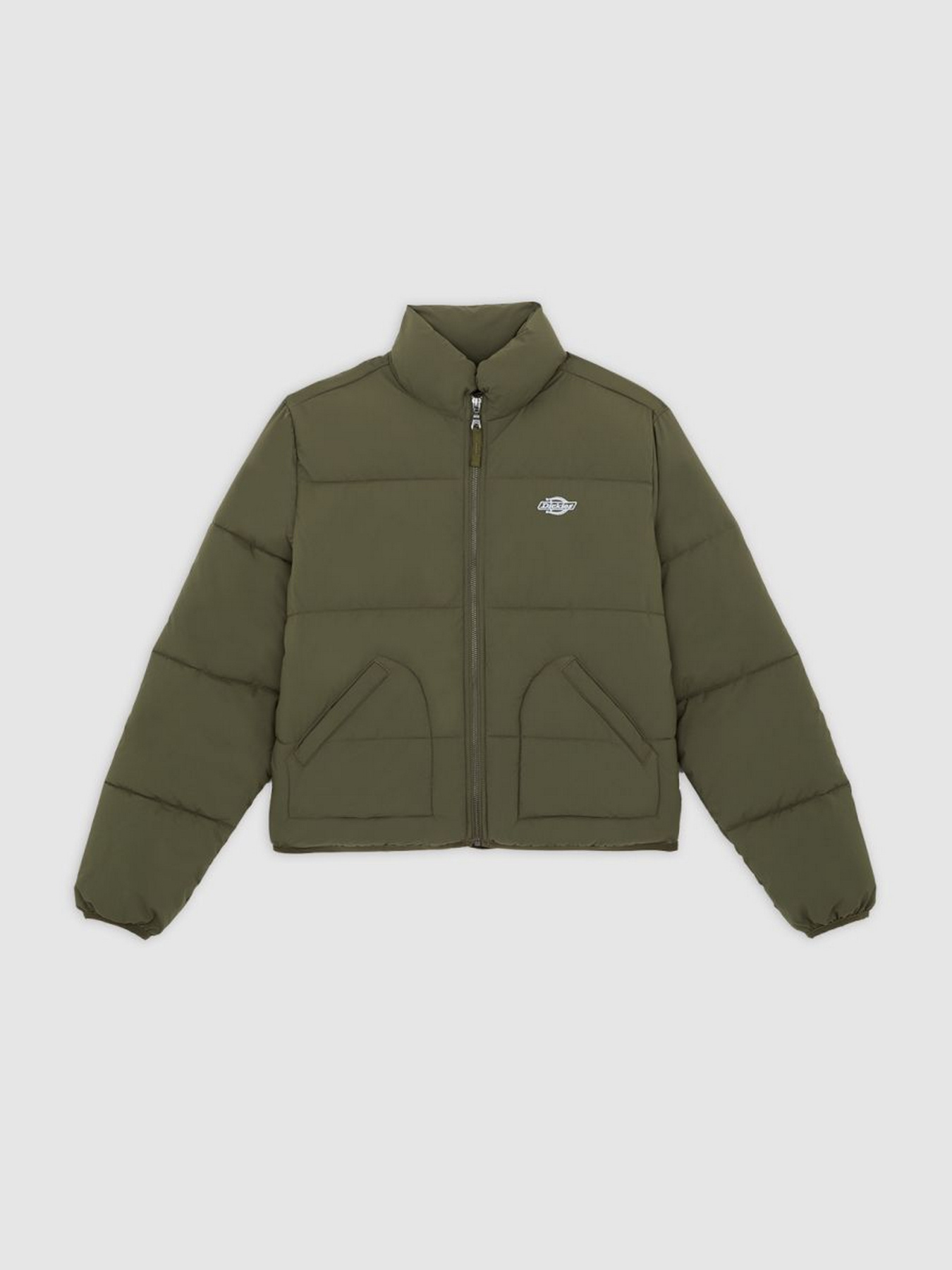 Зимняя куртка Dickies модель DK0A87OJMGR1 Фото