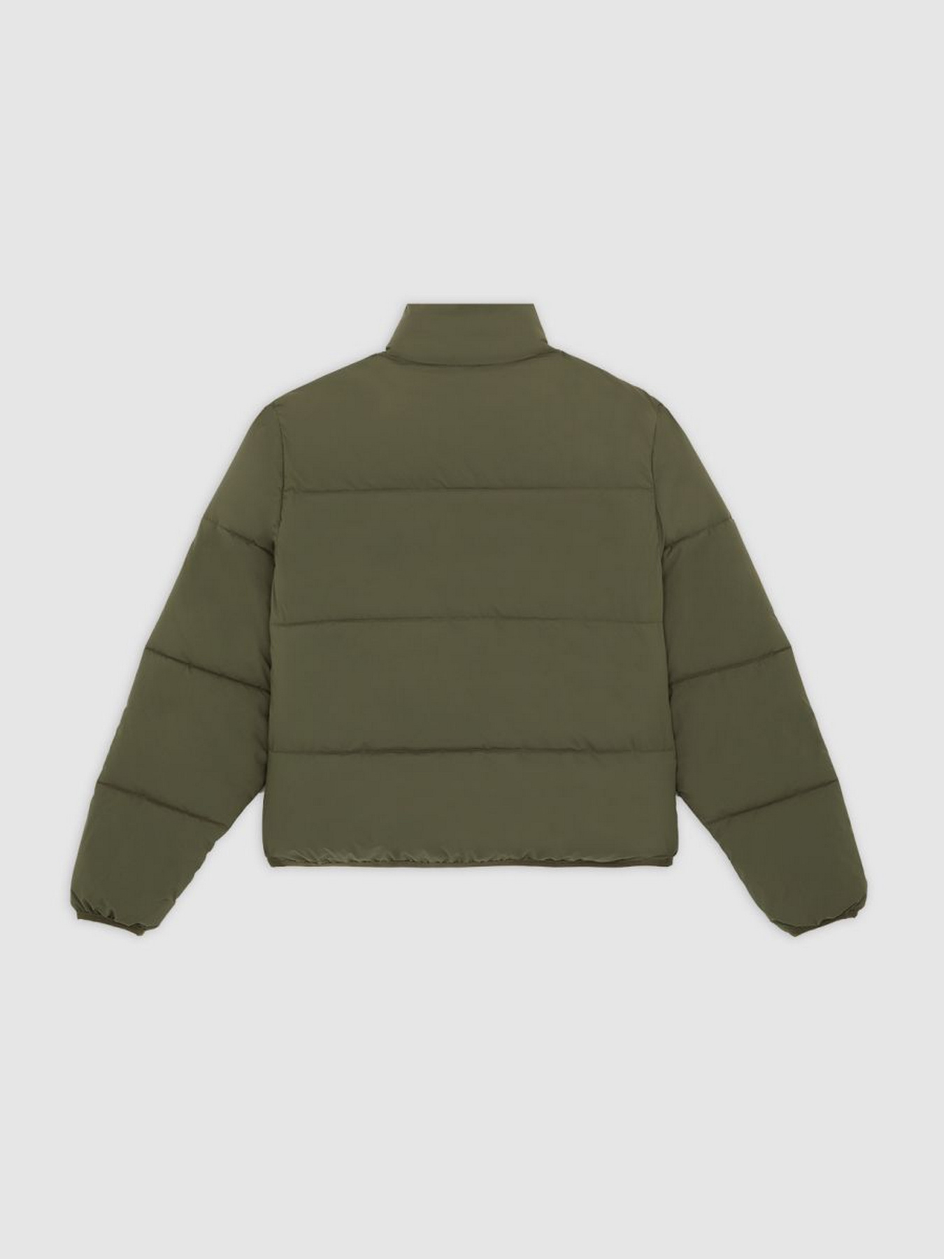 Зимняя куртка Dickies модель DK0A87OJMGR1 Фото