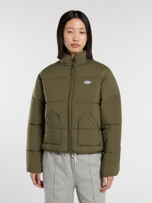 Зимняя куртка Dickies модель DK0A87OJMGR1 Фото