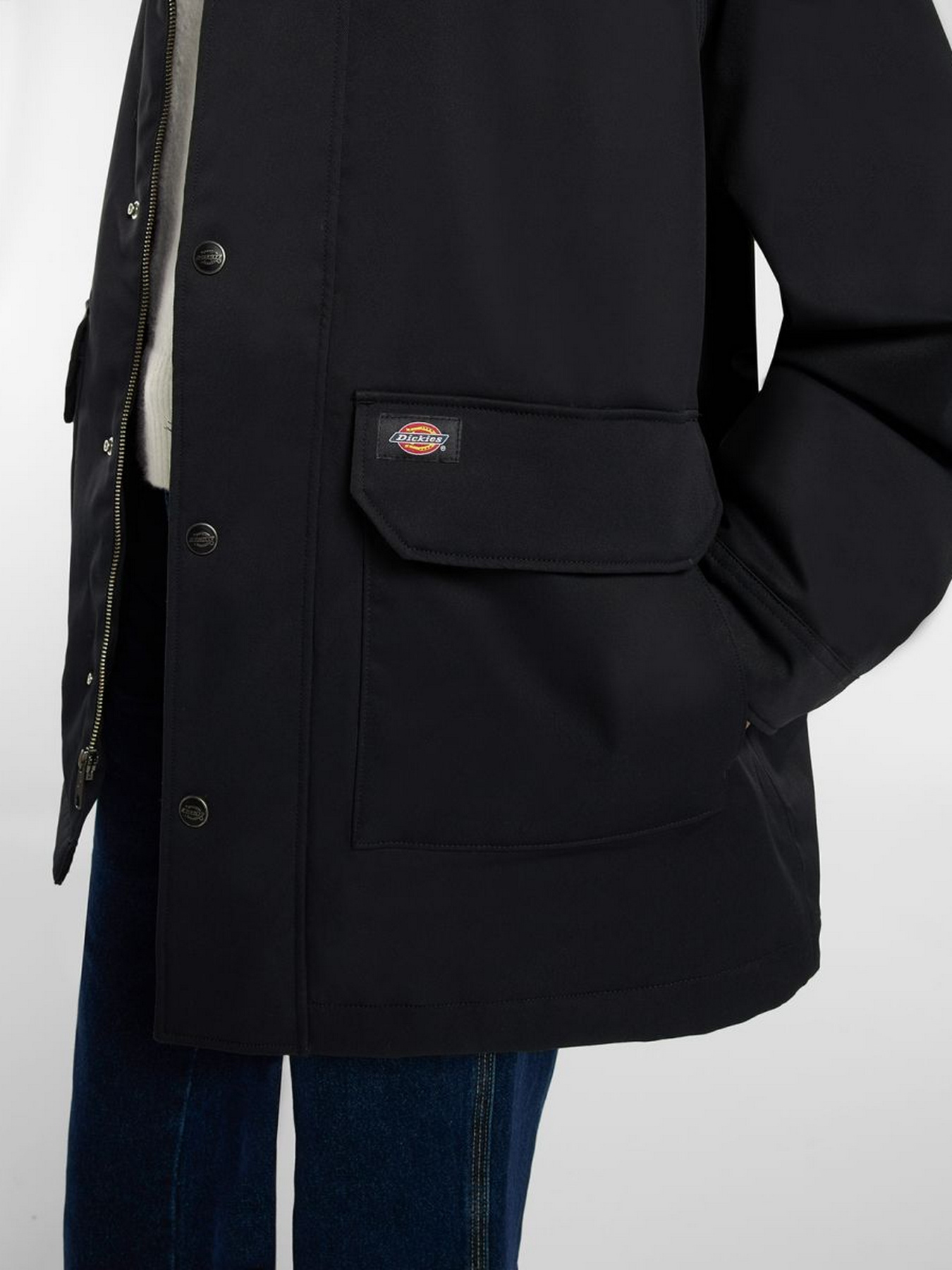 Демисезонная куртка Dickies модель DK0A87OKBLK1 Фото