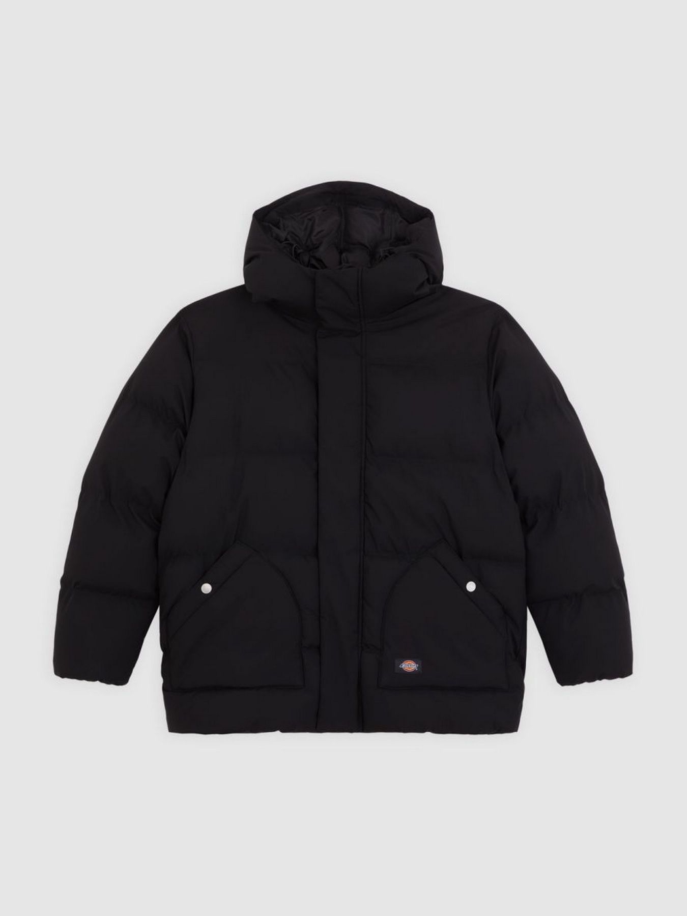 Зимова куртка Dickies модель DK0A87OLBLK1 Фото