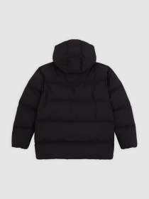 Зимова куртка Dickies модель DK0A87OLBLK1 Фото