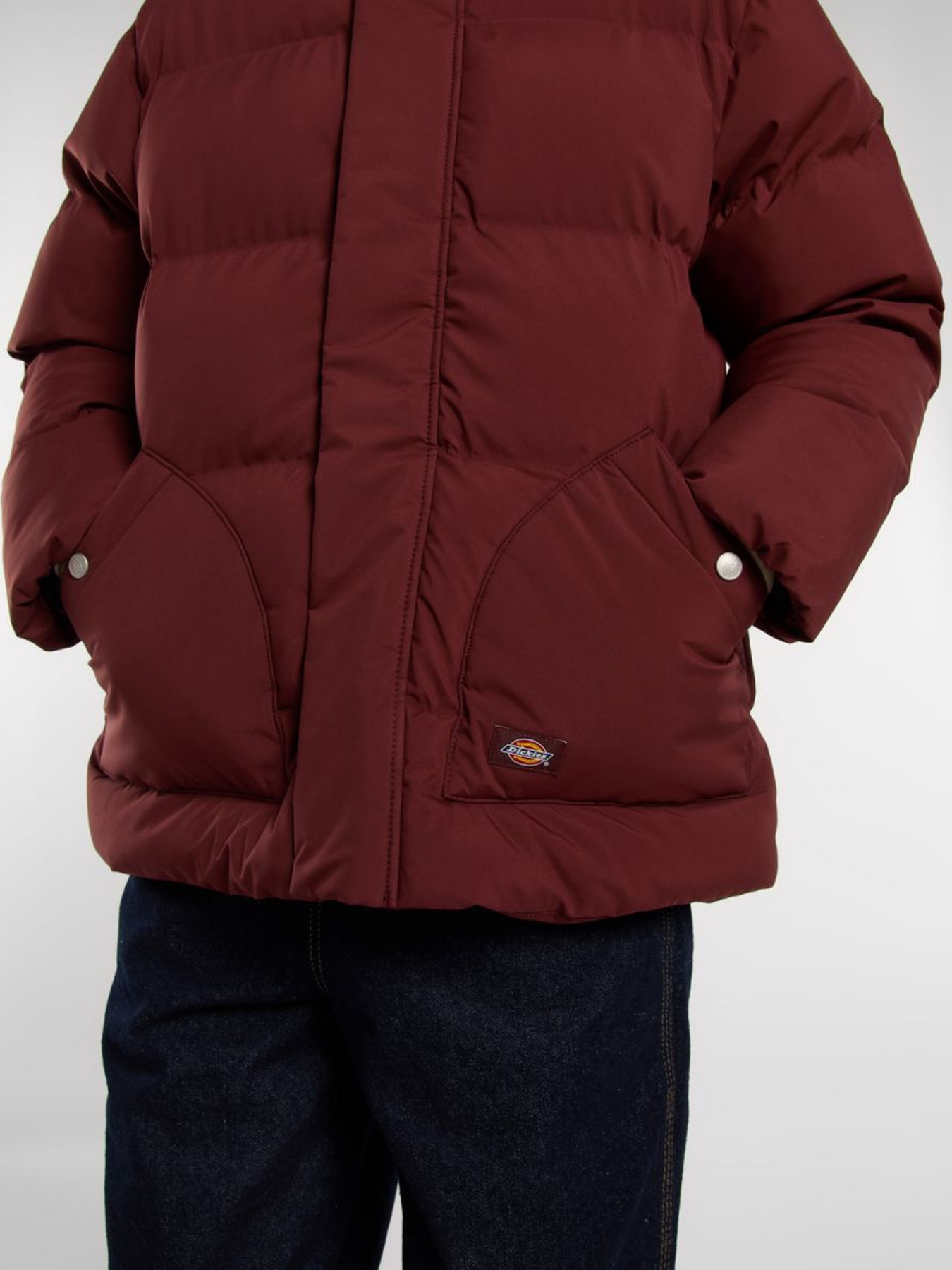 Зимова куртка Dickies модель DK0A87OLL161 Фото