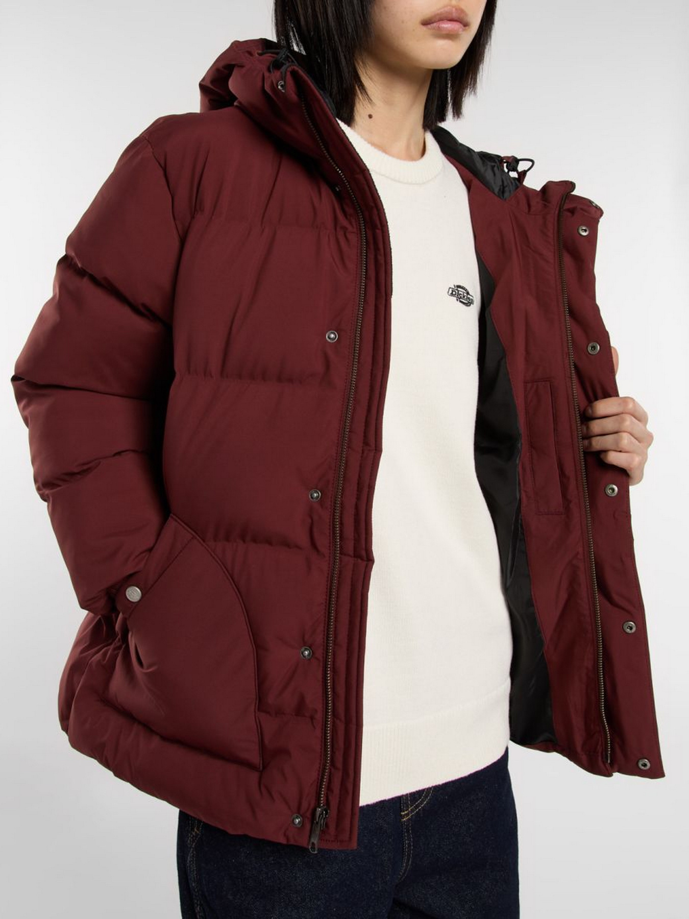 Зимова куртка Dickies модель DK0A87OLL161 Фото