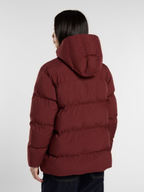 Зимова куртка Dickies модель DK0A87OLL161 Фото