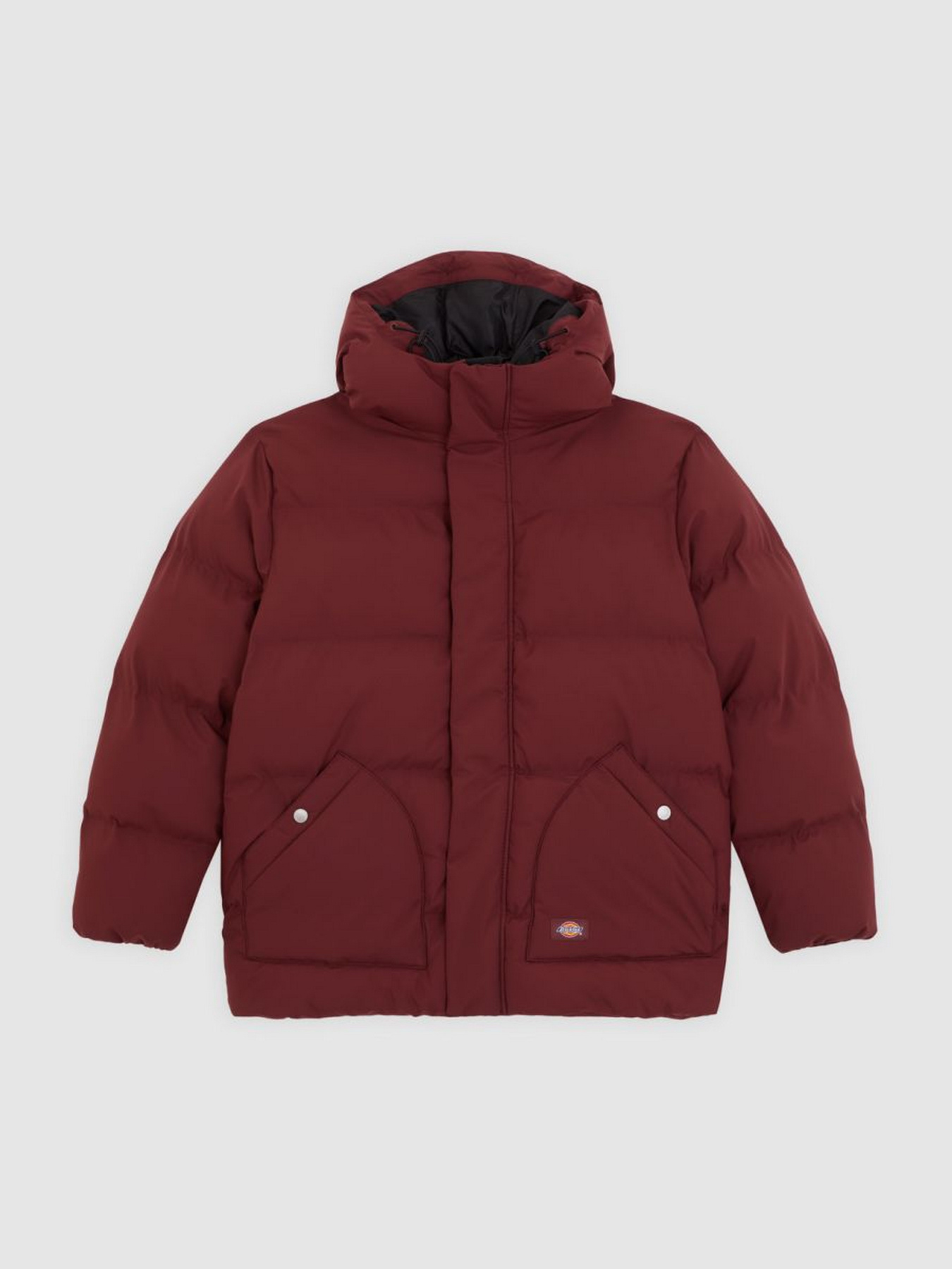 Зимова куртка Dickies модель DK0A87OLL161 Фото