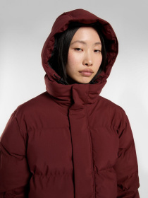 Зимова куртка Dickies модель DK0A87OLL161 Фото