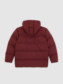 Зимова куртка Dickies модель DK0A87OLL161 Фото