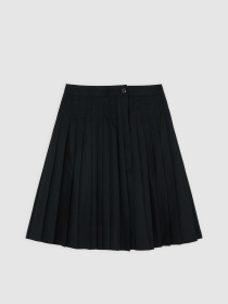 Юбка миди Dickies Dellrose модель DK0A87PZBLK1 Фото