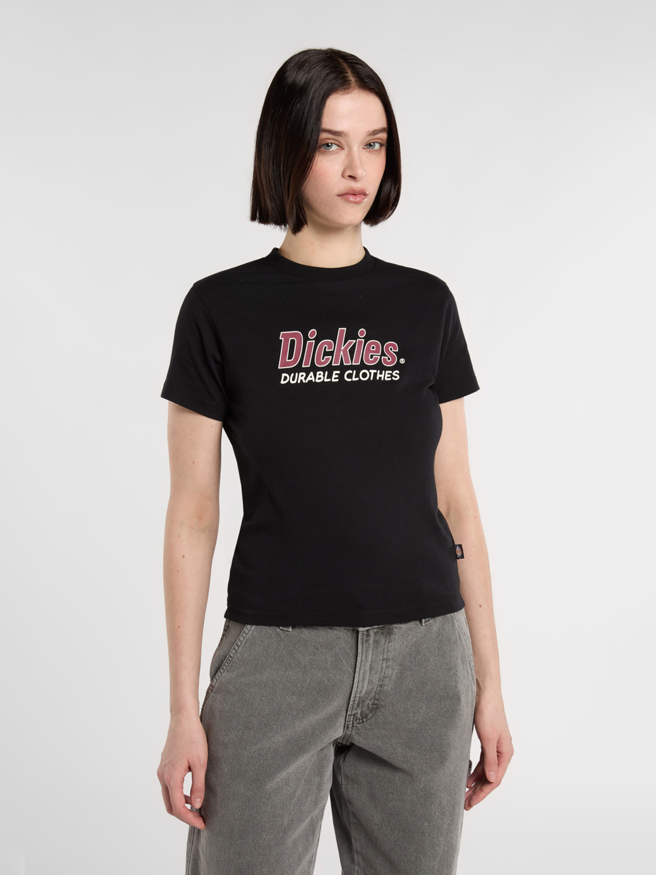 Футболка Dickies Williston модель DK0A87Q5BLK1 Фото