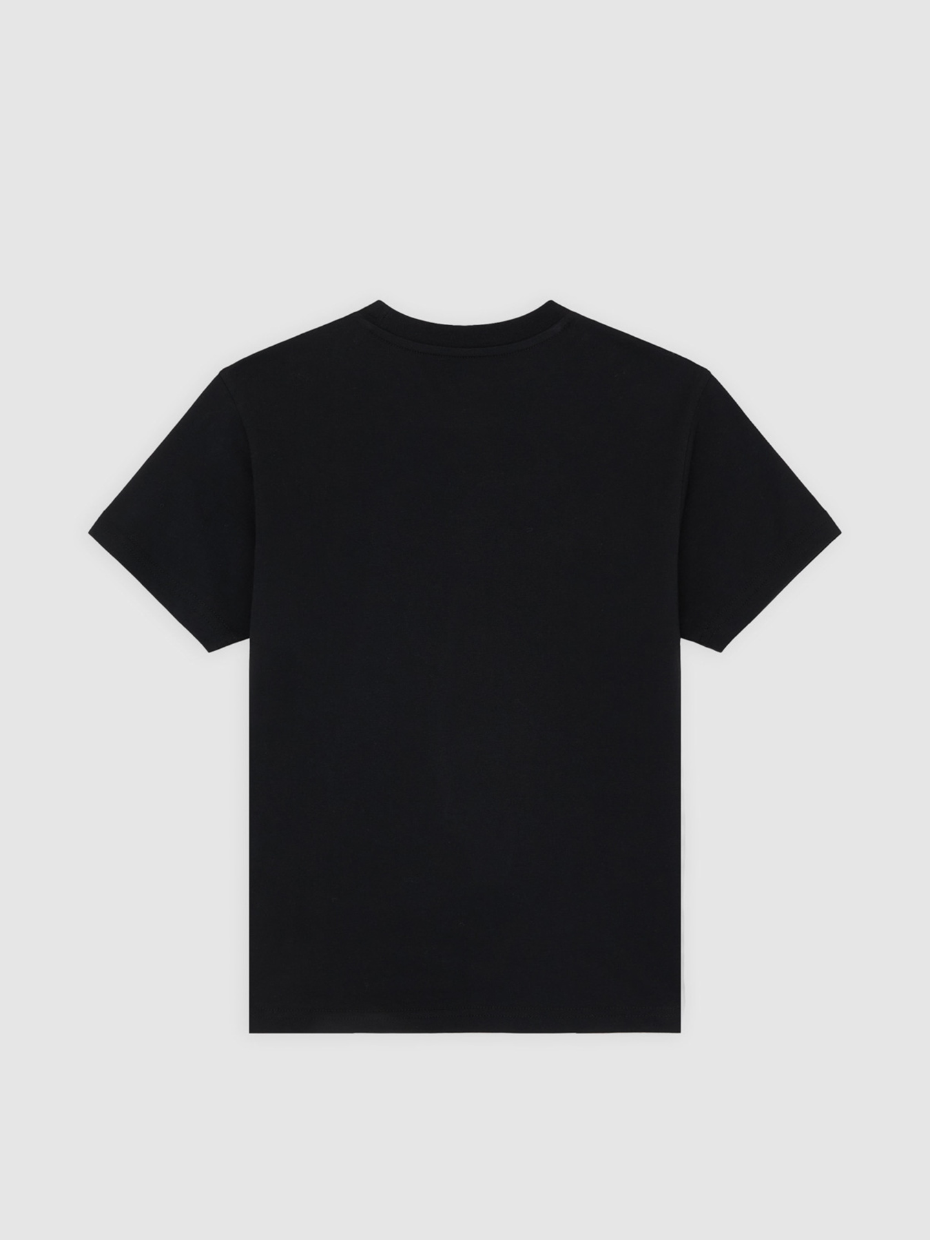 Футболка Dickies Williston модель DK0A87Q5BLK1 Фото