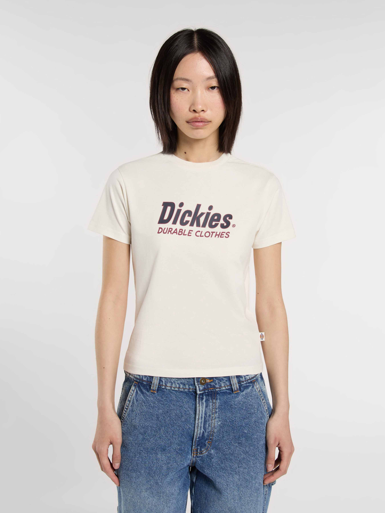 Футболка Dickies Williston модель DK0A87Q5C481 Фото