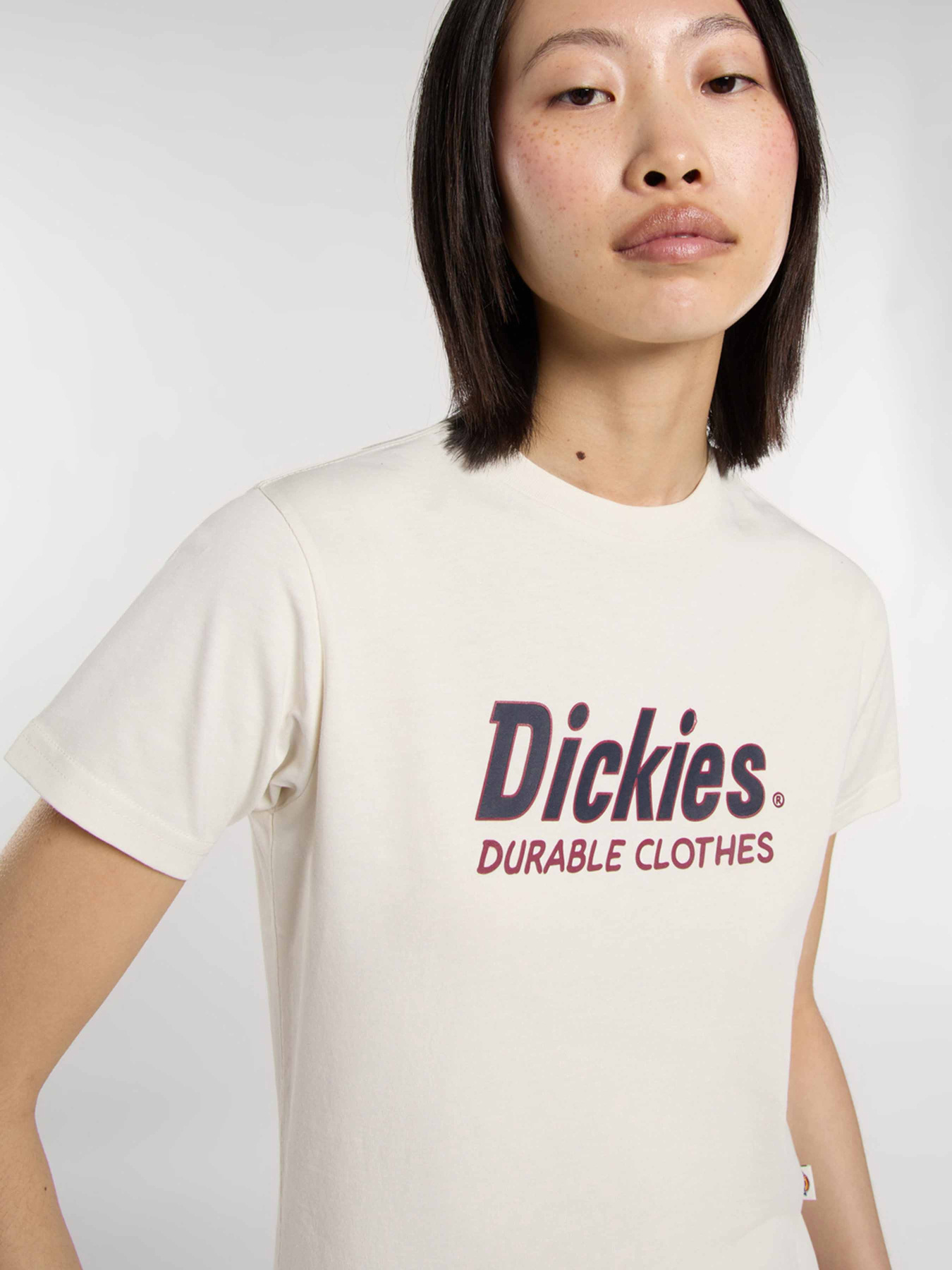Футболка Dickies Williston модель DK0A87Q5C481 Фото