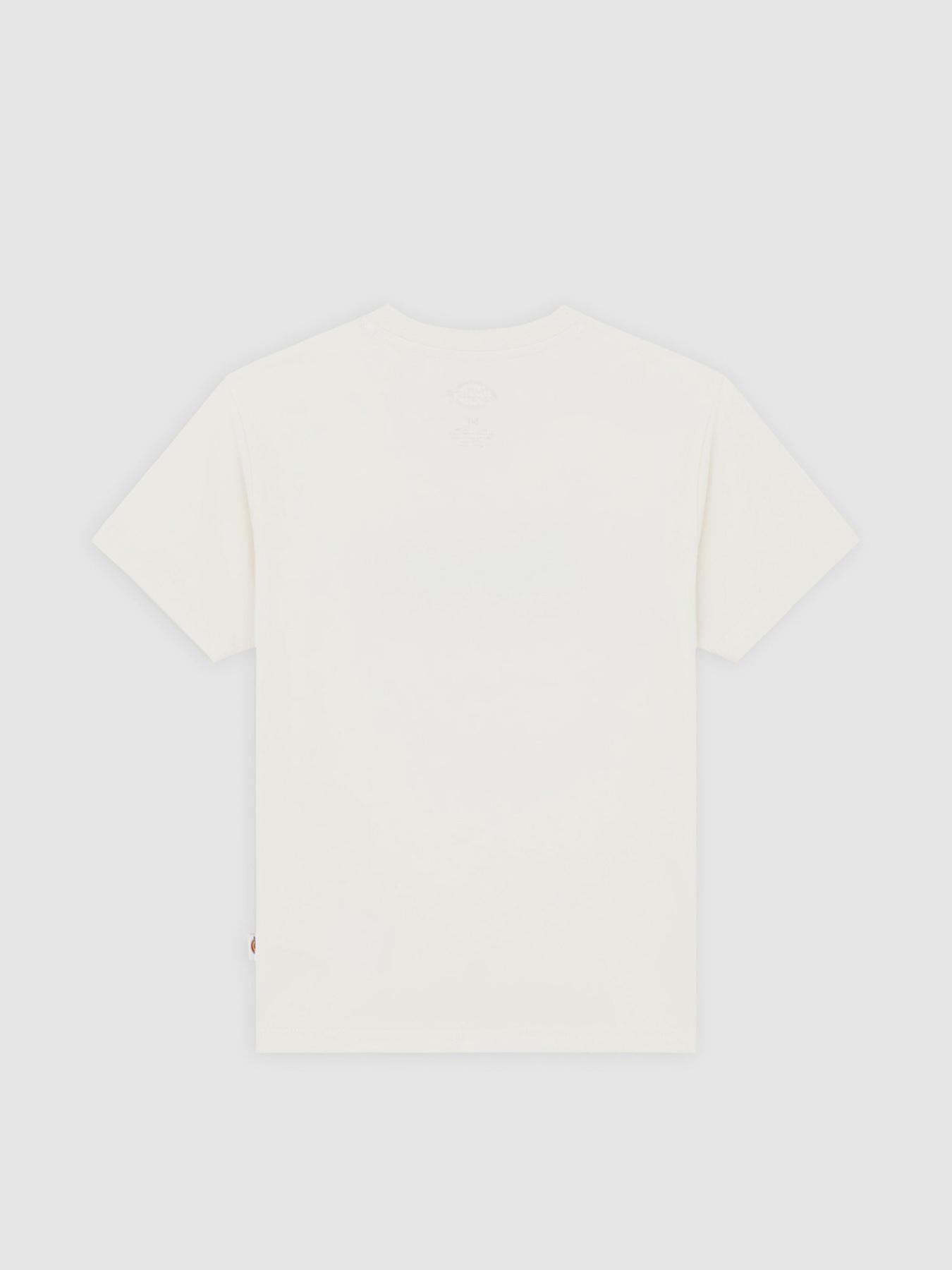 Футболка Dickies Williston модель DK0A87Q5C481 Фото