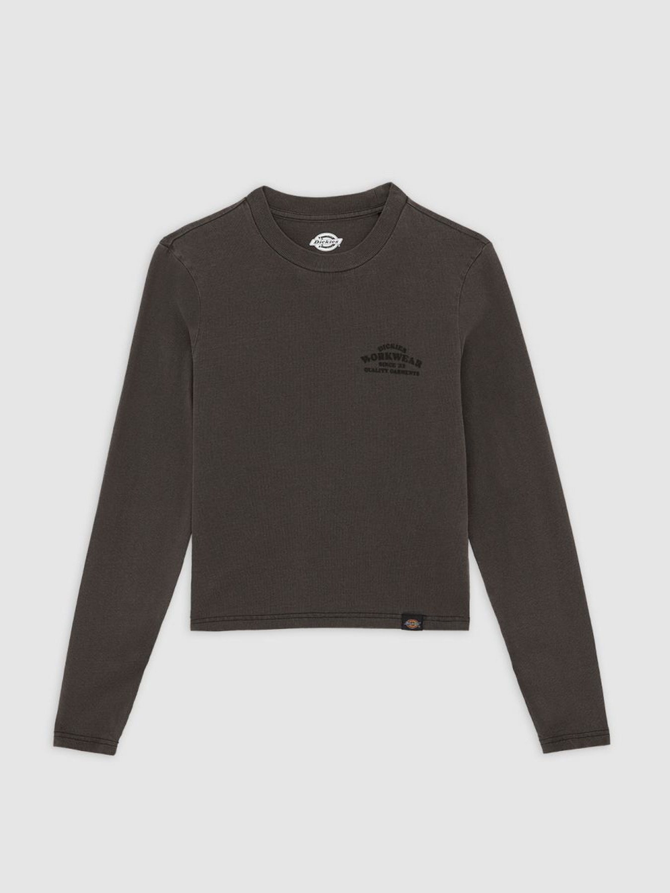 Лонгслив Dickies модель DK0A87Q6BLK1 Фото