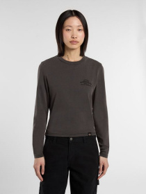 Худі та світшоти Dickies CHRISTIANA модель DK0A87Q6BLK1 Фото