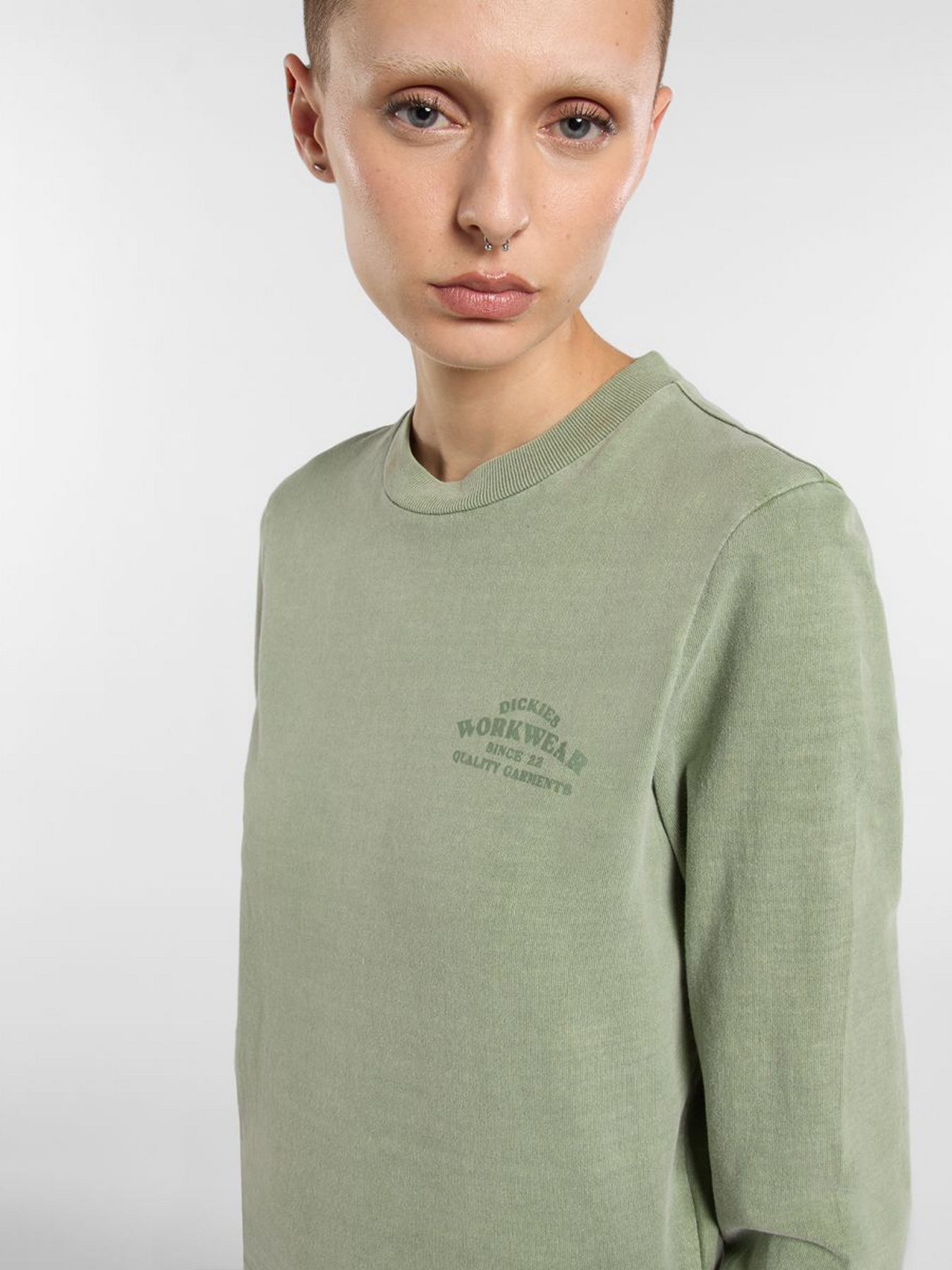 Лонгслів Dickies модель DK0A87Q6L191 Лонгслів Dickies модель DK0A87Q6L191 Фото