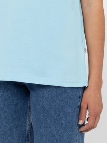 Футболка Dickies Icon Logo Tee модель DK0A4XCAE651 Фото