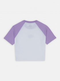 Футболка Dickies Sodaville модель DK0A4Y8JE611 Фото