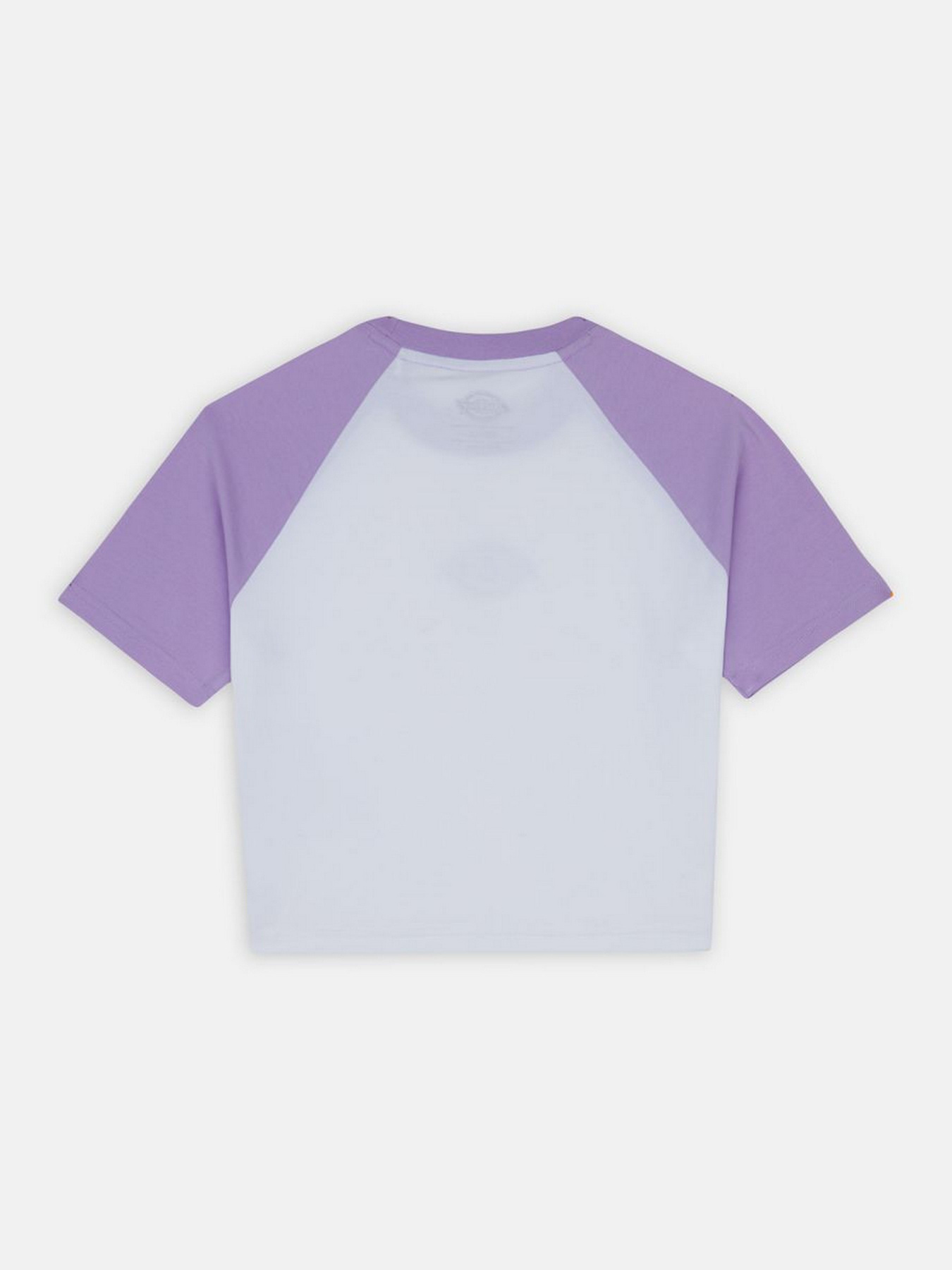 Футболка Dickies Sodaville модель DK0A4Y8JE611 Фото