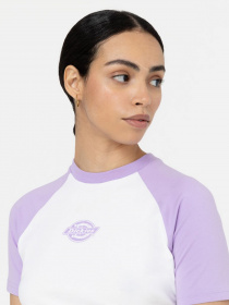 Футболка Dickies Sodaville модель DK0A4Y8JE611 Фото