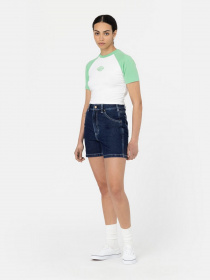 Футболка Dickies Sodaville модель DK0A4Y8JE911 Фото