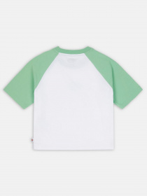 Футболка Dickies Sodaville модель DK0A4Y8JE911 Фото