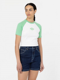 Футболка Dickies Sodaville модель DK0A4Y8JE911 Фото