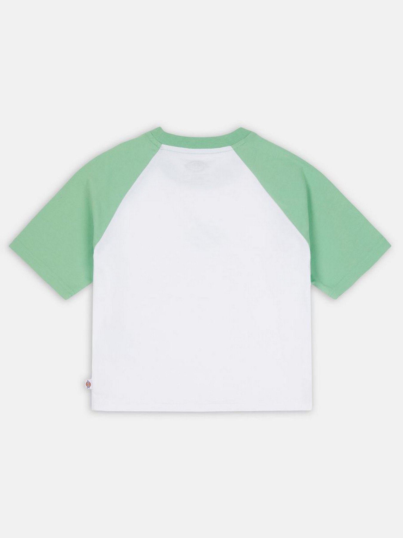 Футболка Dickies Sodaville модель DK0A4Y8JE911 Фото