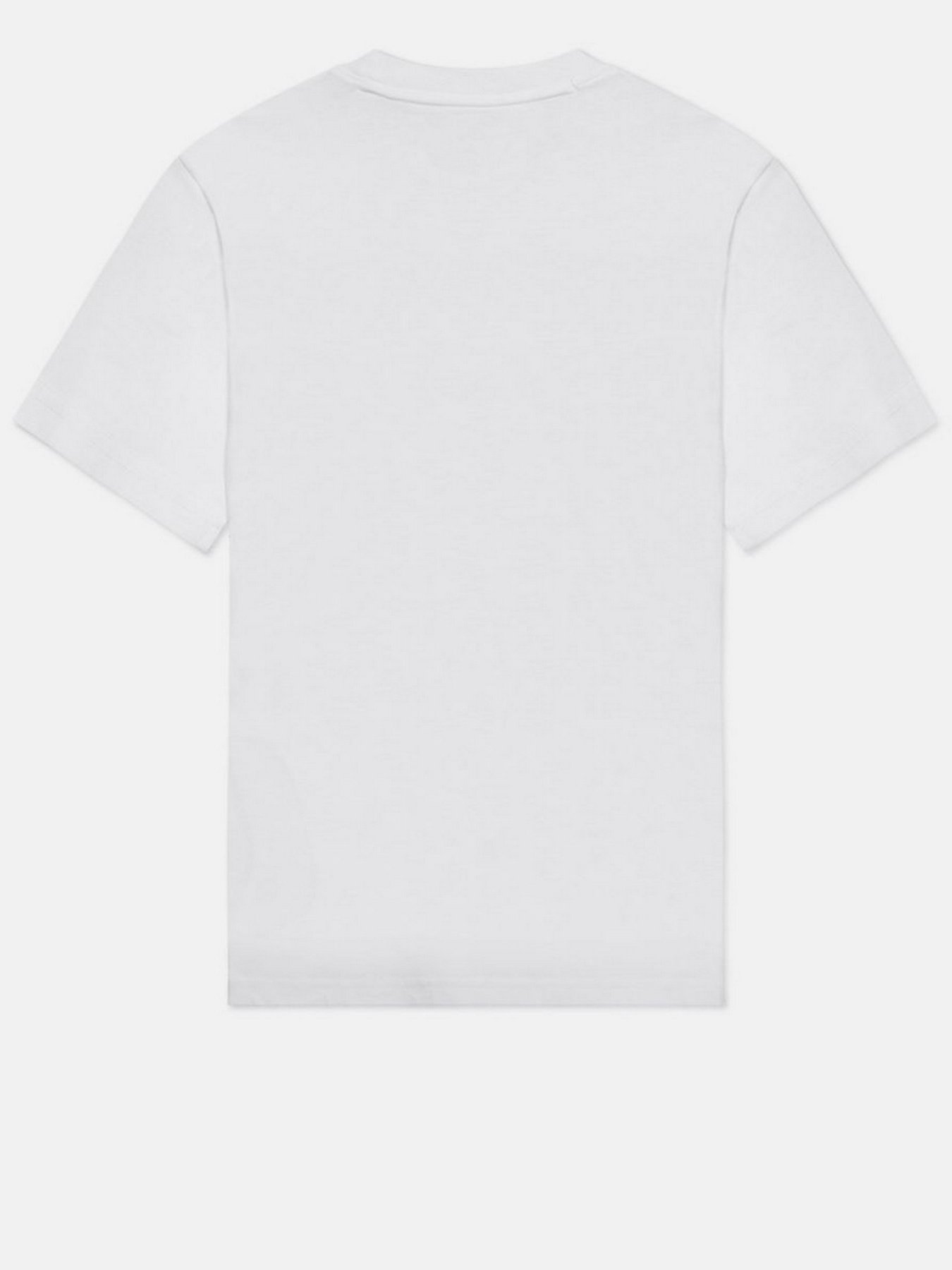 Футболка Dickies Icon Logo Tee модель DK0A4XCAWHX1 Фото