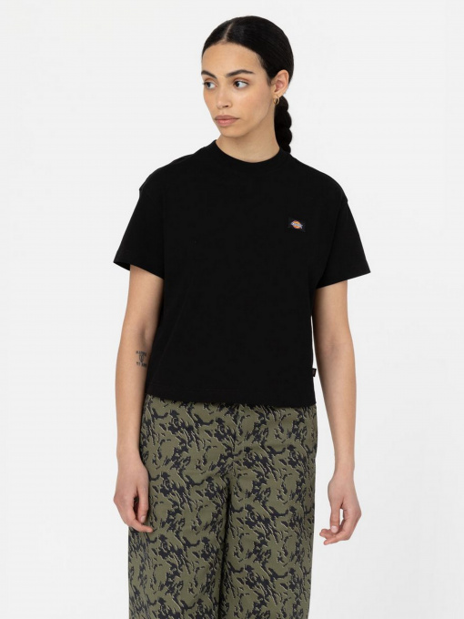 Футболки і поло Dickies Oakport Boxy Tea модель DK0A4Y8LBLK1 Фото