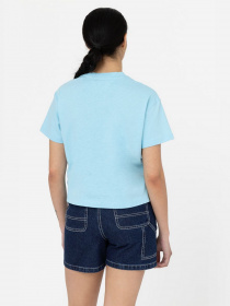 Футболка Dickies модель DK0A4Y8LE651 Фото